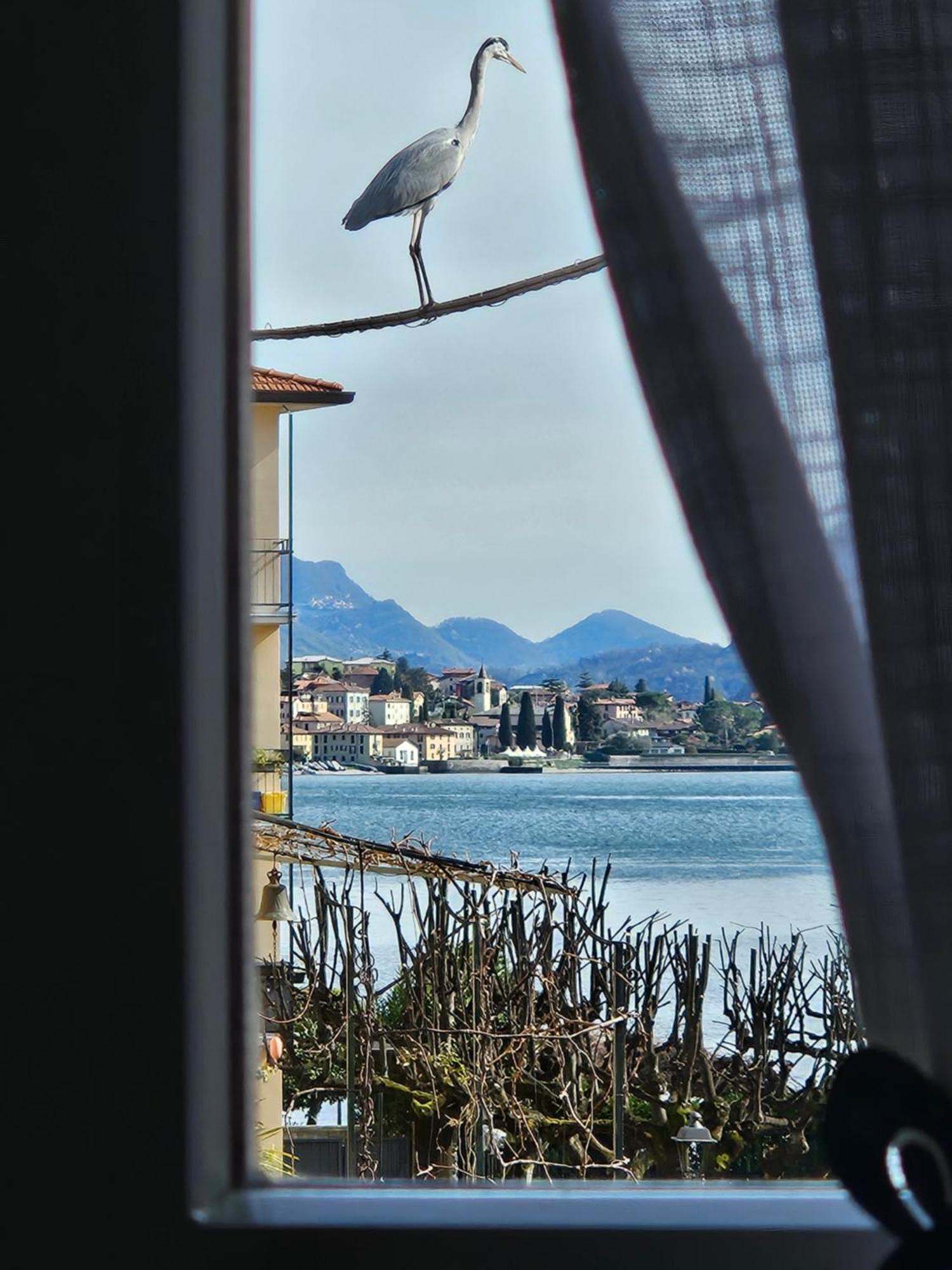 L'Airone - Casa Vacanza Mandello del Lario Eksteriør bilde